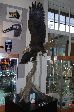 063_2008-0918-1731-16.jpg